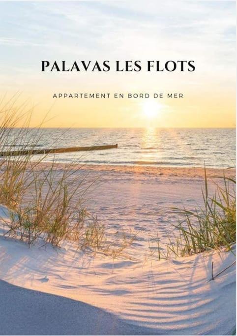 Appartement Palavas Les Flots T2 + Parking Prive Bagian luar foto